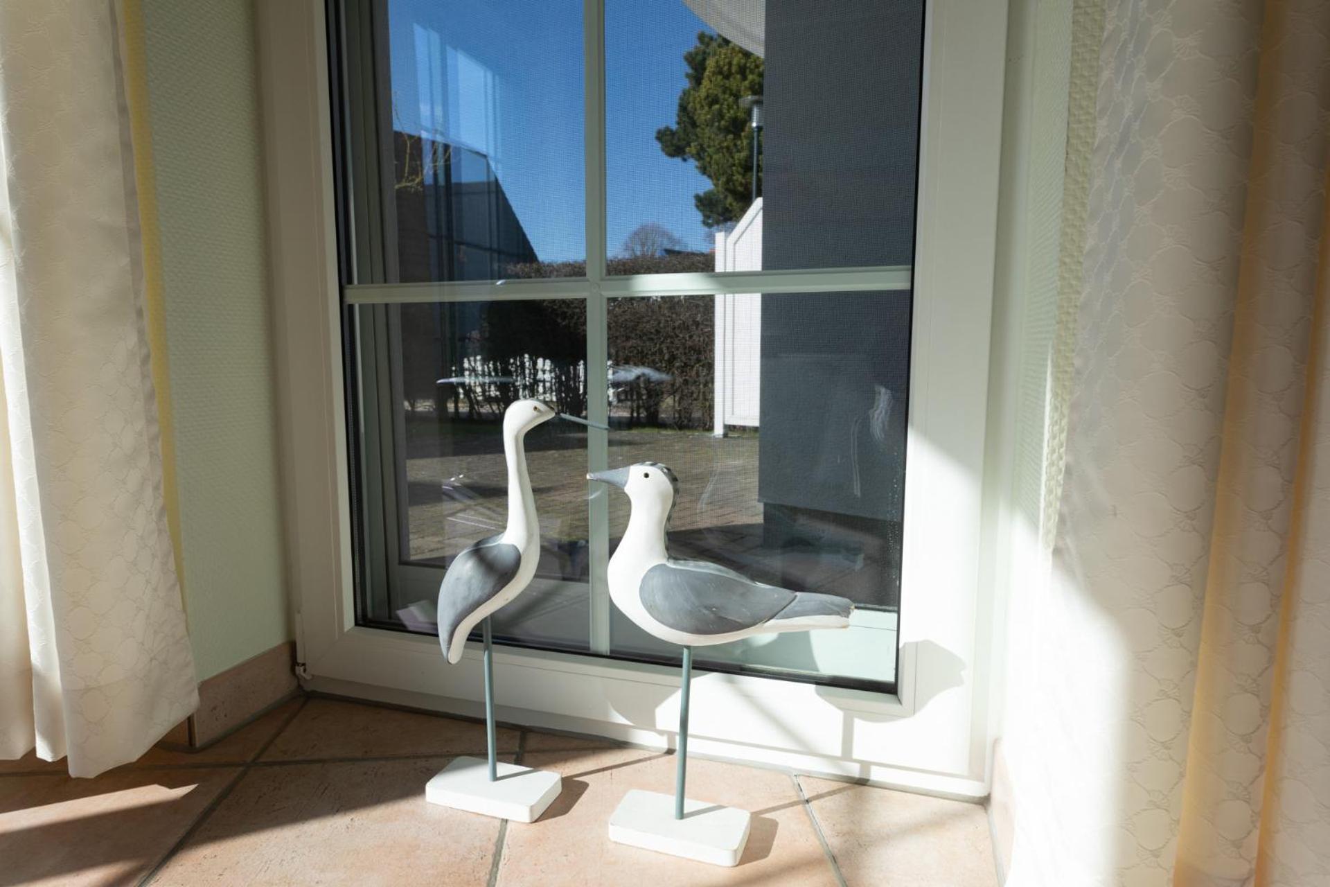 Eden 02 Apartment Zingst Bagian luar foto
